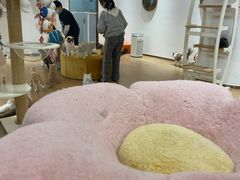 -1013 PET SHOP精品宠物商店(丁香店)