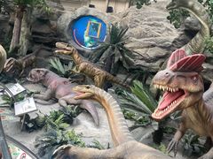 -国家自然博物馆