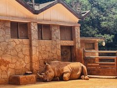 -昆明动物园
