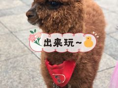 -汇德隆银隆