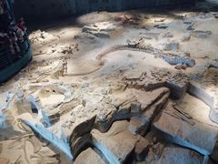 -自贡恐龙博物馆