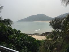 -广东惠东海龟国家级自然保护区