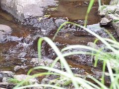 -宁波五龙潭景区