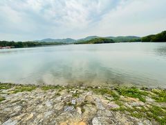 -佛手湖郊野公园