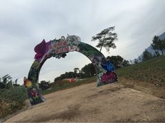 iphone_upload_pic-广州市流溪河国家森林公园