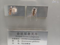 -大连自然博物馆