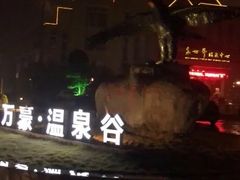 -咸宁万豪温泉谷度假区