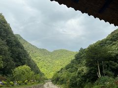 -牛背梁国家森林公园