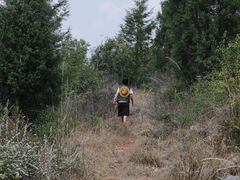 -长虫山生态公园风景林