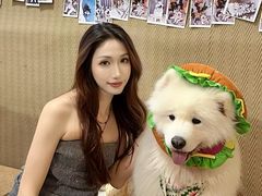 -星多哈·狗咖·拼豆·咖啡