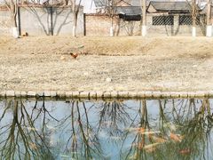 -三里河公园