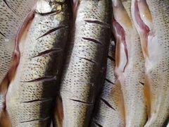 -官厅老勾渔馆(温泉店)