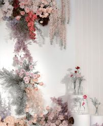 -明典婚礼策划·婚车租赁·婚纱摄影