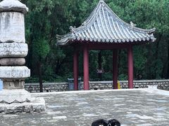 -四门塔风景区