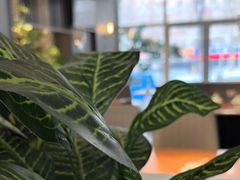 -纪林菜馆·博山菜老字号(华光路店)