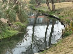 -两河城市森林公园