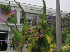 -深圳国际园林花卉博览园