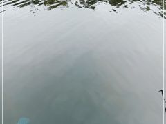 -特种渔场
