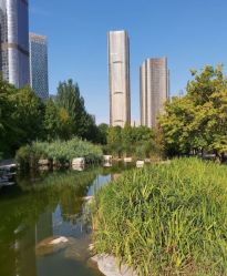 -大望京儿童游乐场