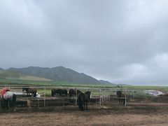 -扁都口生态休闲旅游区