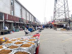 -中环花鸟鱼虫市场