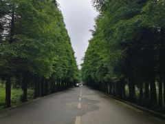 -山王坪喀斯特国家生态公园