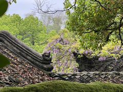 -西园戒幢律寺