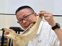 -洛东土菜馆(建国北路店)