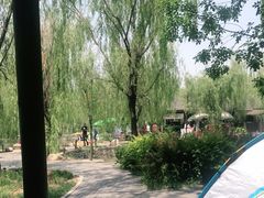 -杨柳青庄园