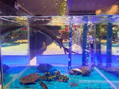 -SEA西雅图海鲜自助餐厅(海乐世界店)