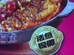 -老板恋上鱼(恒隆广场店)