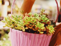 -KKV(深圳宏发大仟里店)