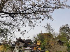 -鸡鸣寺