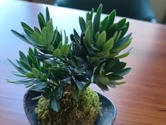 -聚福宝合苑食府(南头镇店)