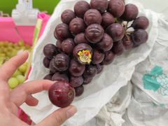 -盒马鲜生(丁香国际店)