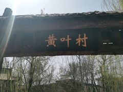 -桃花堤公园