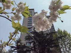 -兰岛广场(白沙路店)