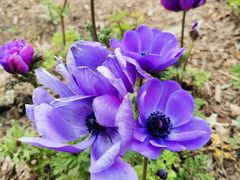 -上海植物园-4号门售票处