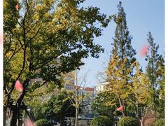 -【朵云轩艺术中心】博洛尼亚插画展·中国巡展·上海站