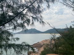 -广东惠东海龟国家级自然保护区