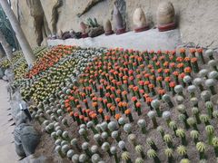 -南山植物园
