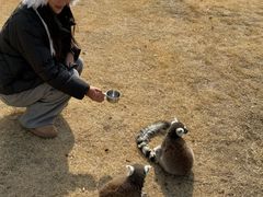 -无锡动物园·太湖欢乐园