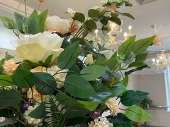 -宁波壹加壹口腔·矫正种植中心