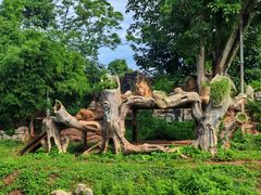 -海南热带野生动植物园