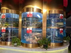 -蜀滋香鲜鱼美蛙火锅(339店)