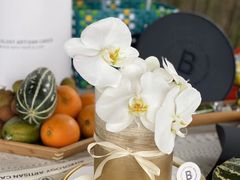 -Biteology Artisan Cakes(红庄·国际文化保税创新园店)