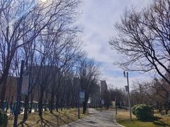 -五环公园