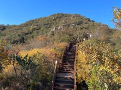 -大岭沟猕猴桃谷风景区