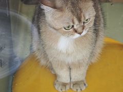 -平行世界·猫咖(首经贸店)