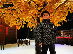 -宁波冰雪大世界(北仑区)